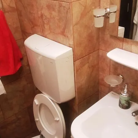 Dana Apartment Bucharest
