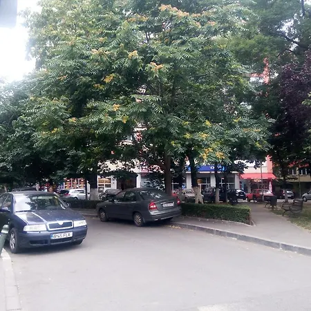 Dana Бухарест