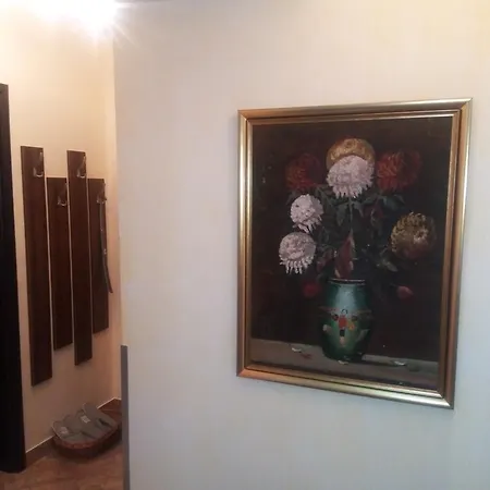 Apartamento Dana Bucarest