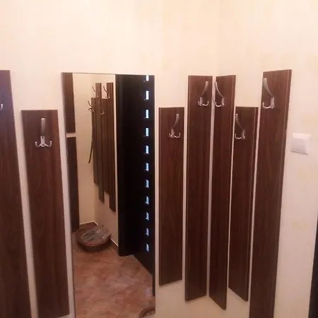 Dana Bucureşti