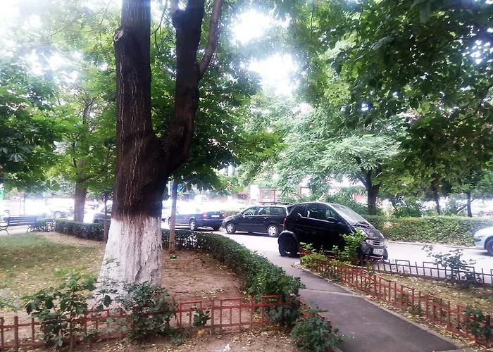 Apartman Dana Bukarest