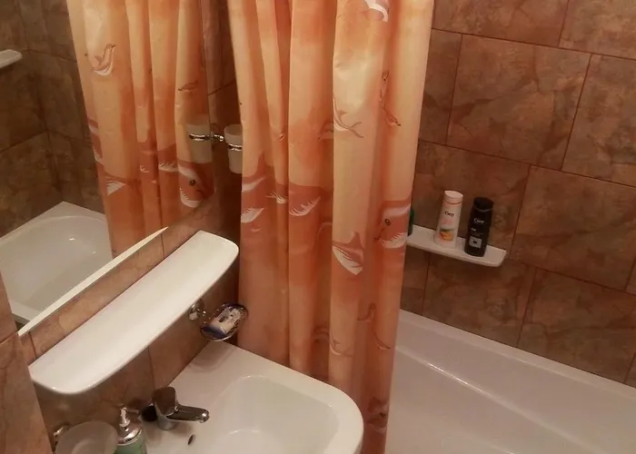 Apartman Dana Bukarest