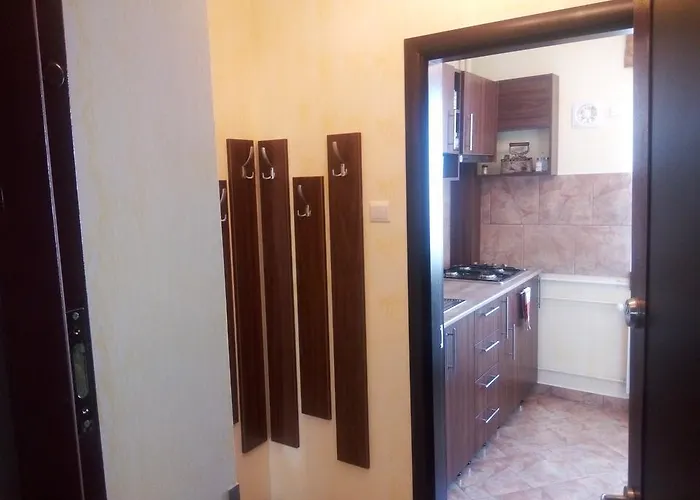 Apartman Dana Bukarest