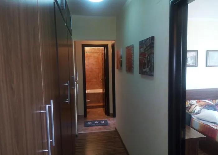 Apartman Dana *